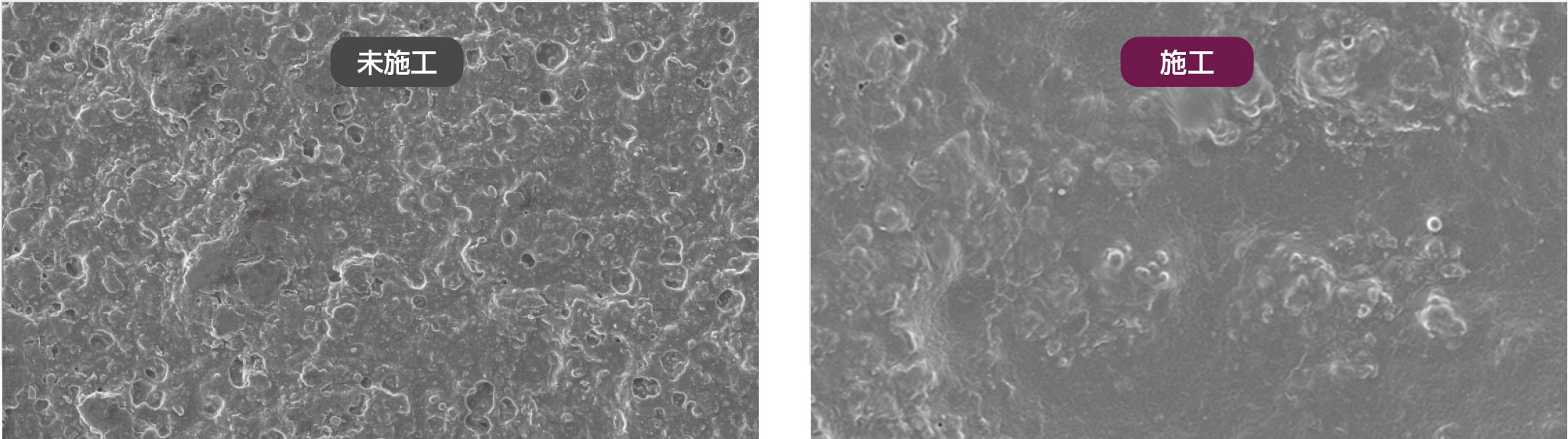 電子顕微鏡による革表面の写真